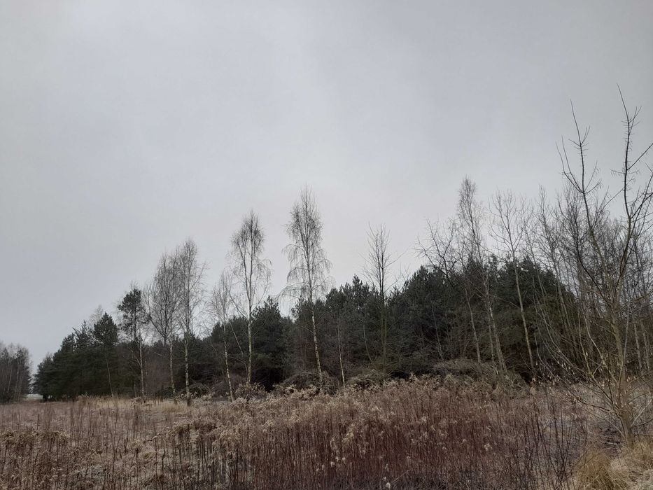 Działka budowlana w Krynce 0,2035 ha