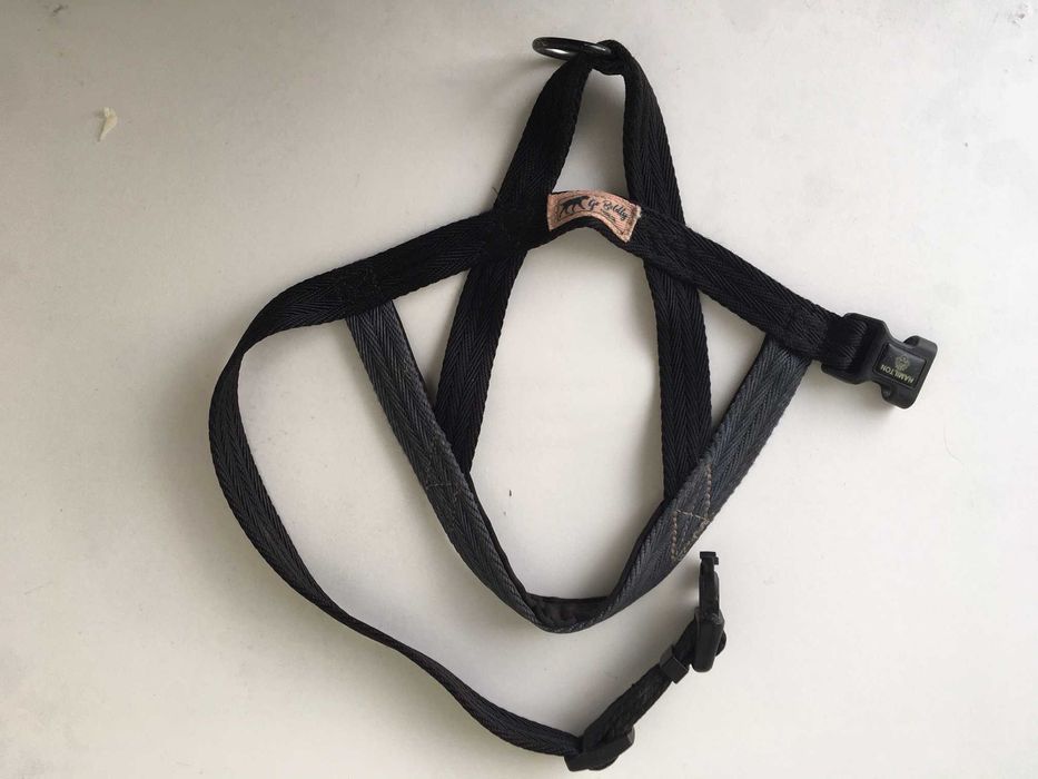 szelki  Hamilton go boldly S