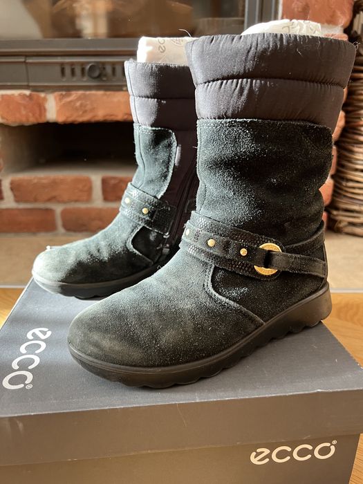 ecco aspen