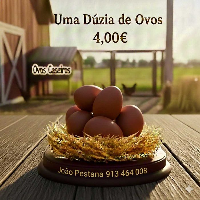 Ovos caseiros, galinhas criadas ao ar livre