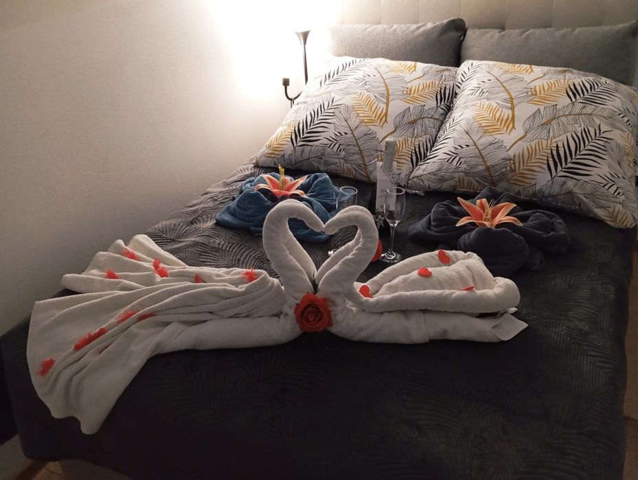 Domek z sauna i jacuzzi Paszyn Domek do wynajęcia