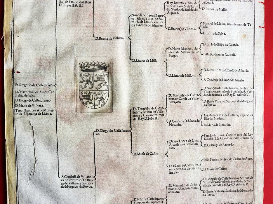 Condes de Vila Nova de Portimão, árvore de costados 1599 rara