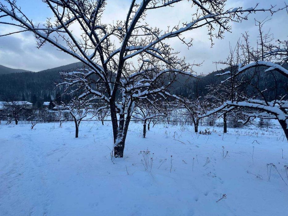Земельна ділянка з будинком (світло, вода) село Татарів