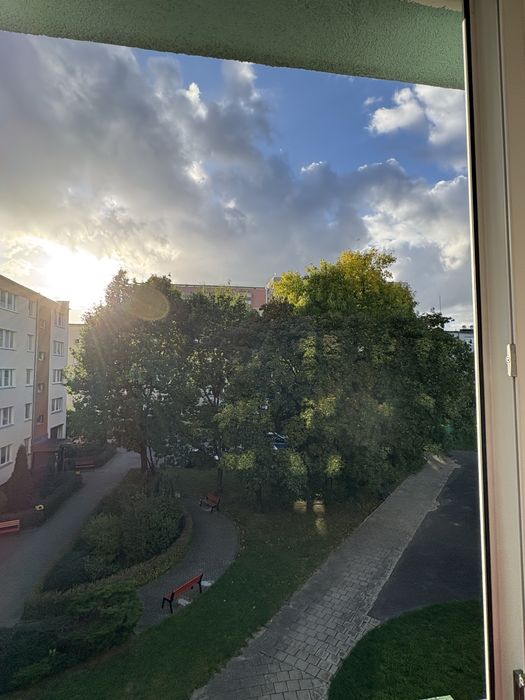 Zdjęcie 7