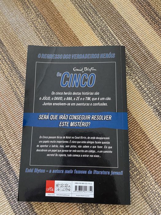 Os cinco nova aventura dos cinco