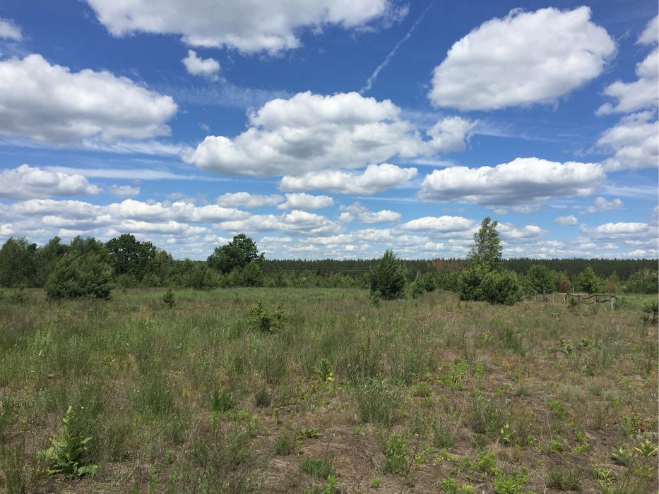 Земельна ділянка 0.23 га у затишному місці