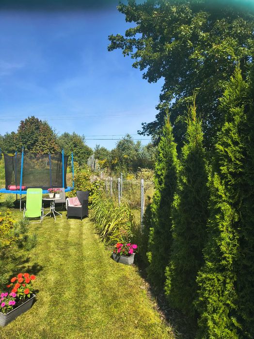 Mieszkanie – Olsztyn, Stare Miasto - Widok 5