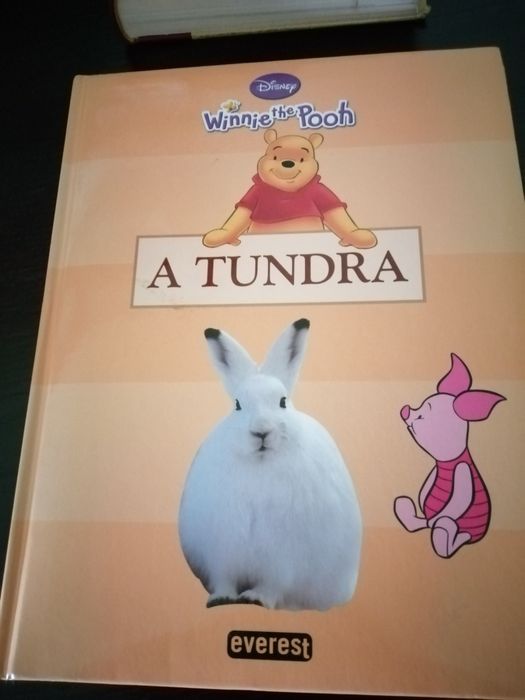 Livros novos infantis