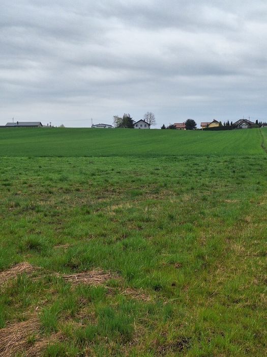 Działka Ziemia rolna Siedlisko - Widok 4