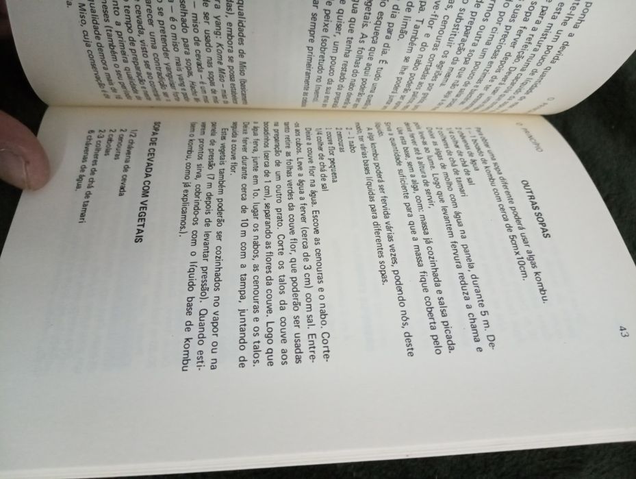 O Principio - Ideias sobre a cozinha macrobiótica em Portugal. 1975*