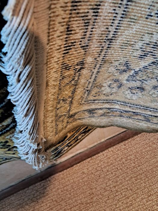 Ковер настенный сирия шерсть 2×3