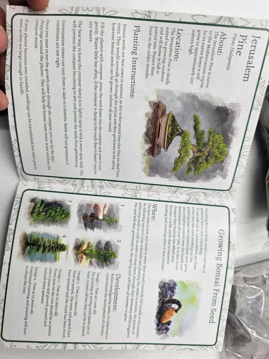 Zestaw do uprawy Bonsai z nasionami Pine