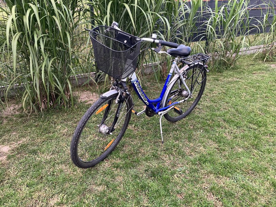 Rower damka Pegasus