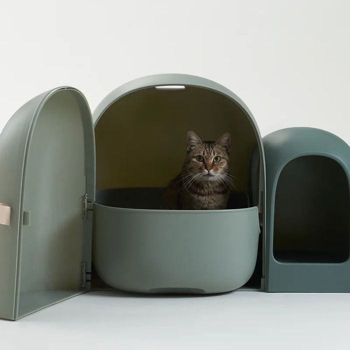 Caixa de areia para gatos fechada da marca Makesure (modelo Max), em tom verde-claro