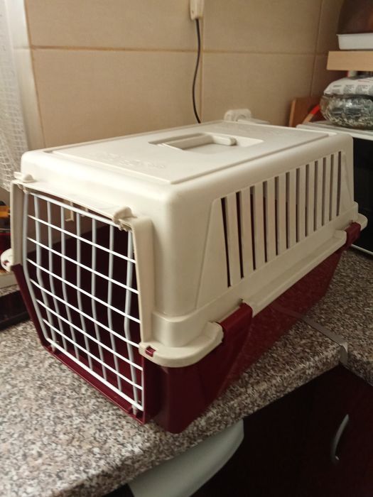 Klatka dla kotów i psów