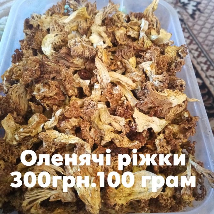 Продам сушені гриби.Підберезники,білі літні,маслюки,порошок білих гриб