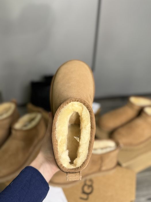 Угг классические угги ugg mini classic без платформы уг