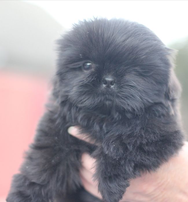 Лялькова дівчинка невеликого розміру