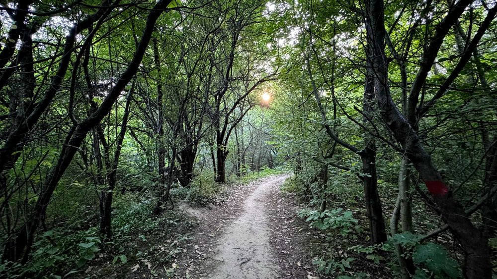 Продаж землі комерційного призначення, Львів, вул. Ланова