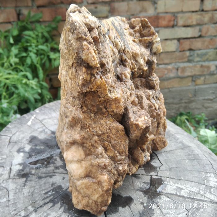Камень для аквариума
