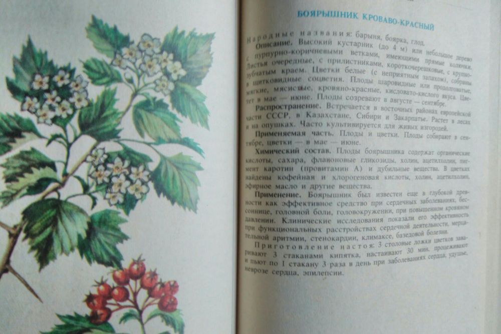 Энциклопедия "Лекарственные средства в народной медицине"