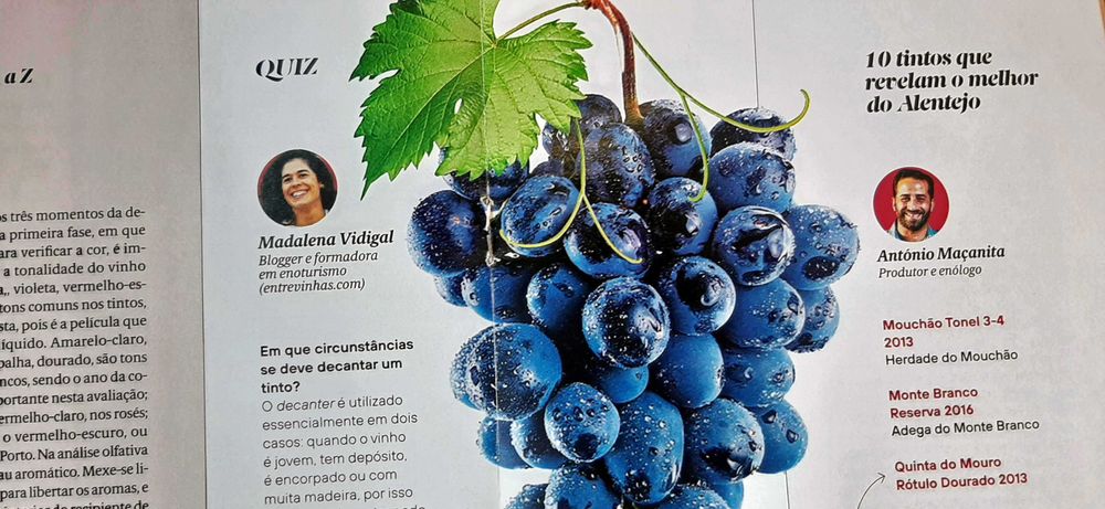 Rotas dos Vinhos de Portugal -Expresso