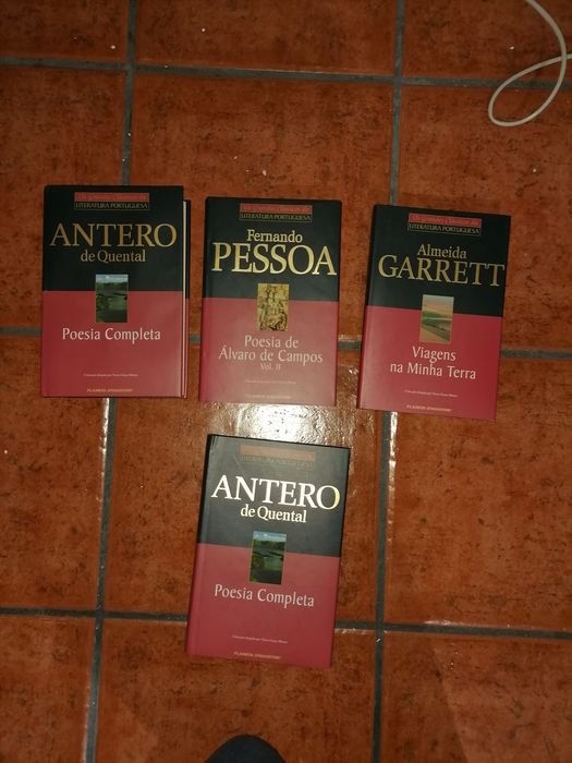 Os grandes clássicos da literatura portuguesa
