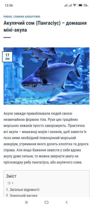 Продам великих акваріумних рибок