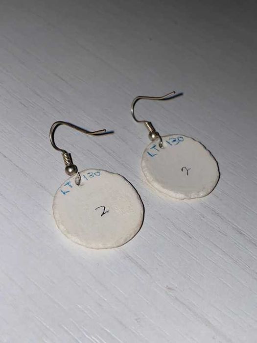 Brincos Casca de Ovo de Avestruz