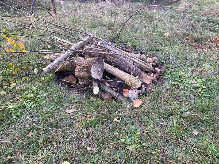 Działka rolna 1028 m² z dostępem do rzeki Świder - Widok 2