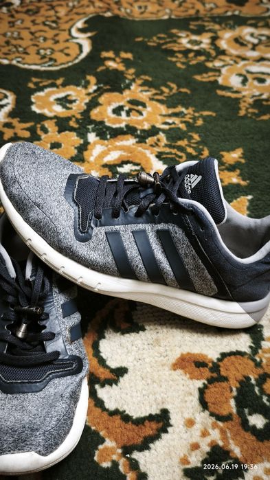 Кросівки adidas оригінал