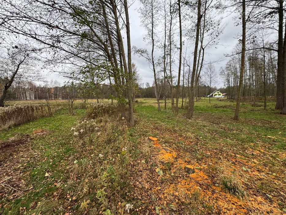 Działka 0,29 ha pod lasem, Smolarzyny, WZ na 2 domy jednorodzinne