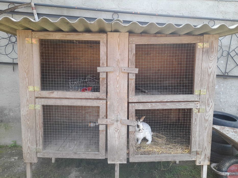 Klatka na kroliki