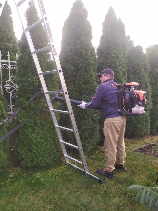 Чистка ,стрижка і оприскування від шкідників Туй