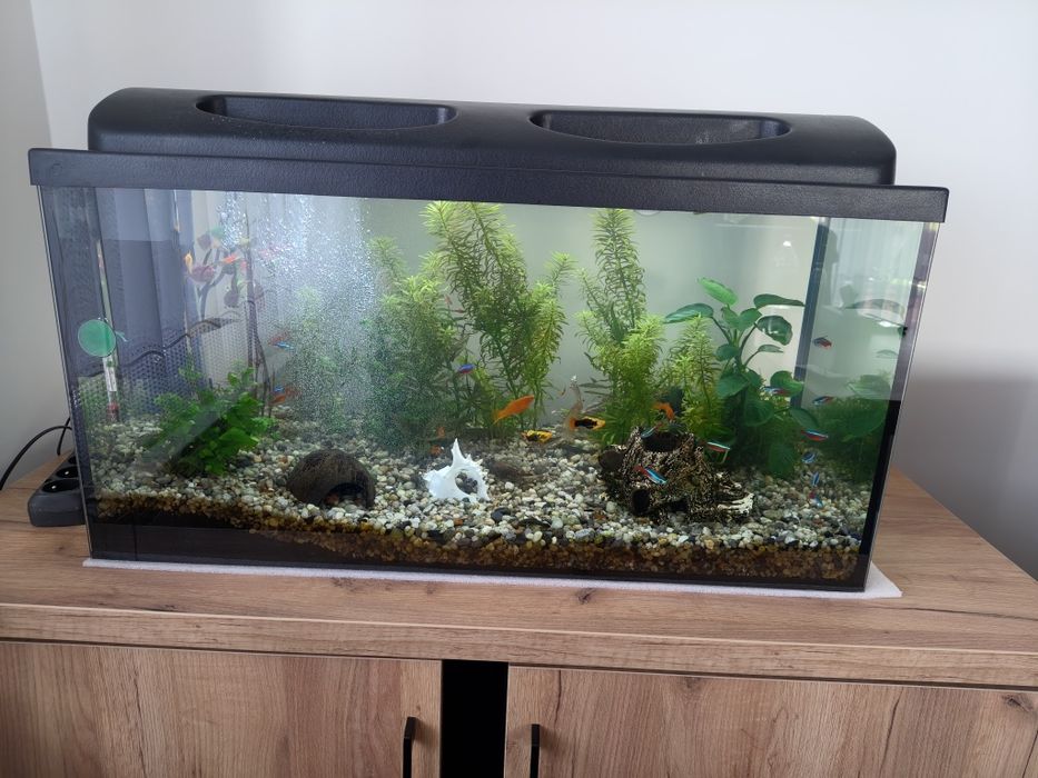 Akwarium 112l pełen zestaw