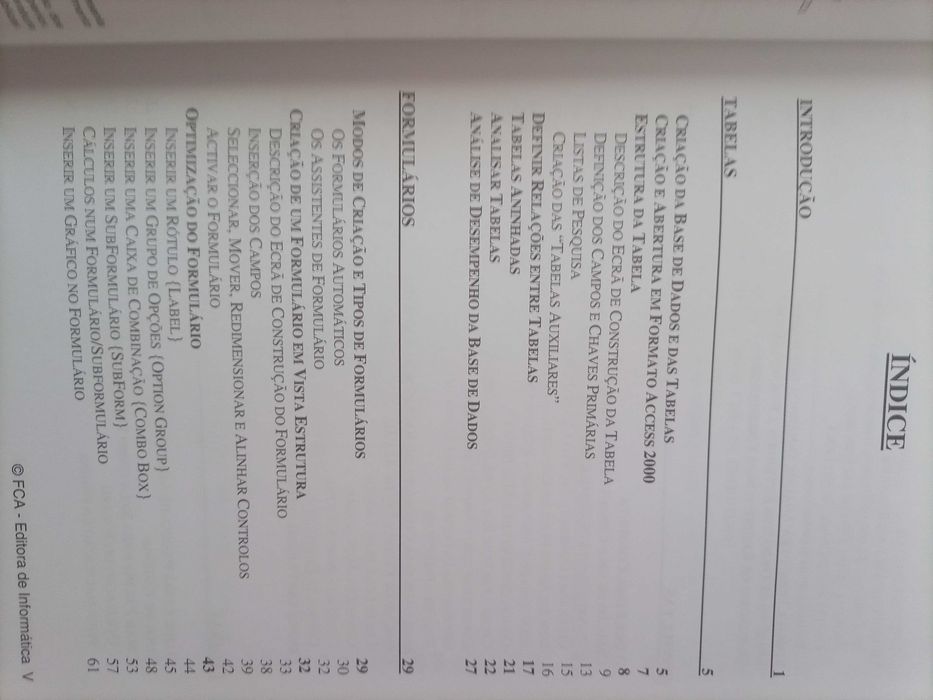 Livro Access XP completo Domine a 110%