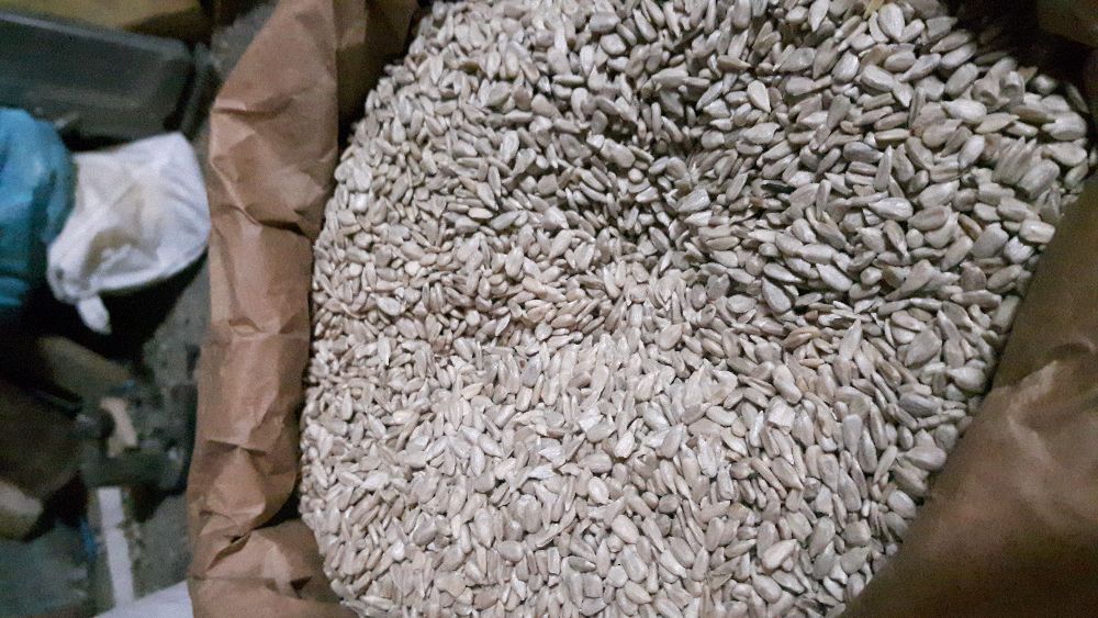 Słonecznik łuskany 25Kg NA OLEJ wysyłka GRATIS