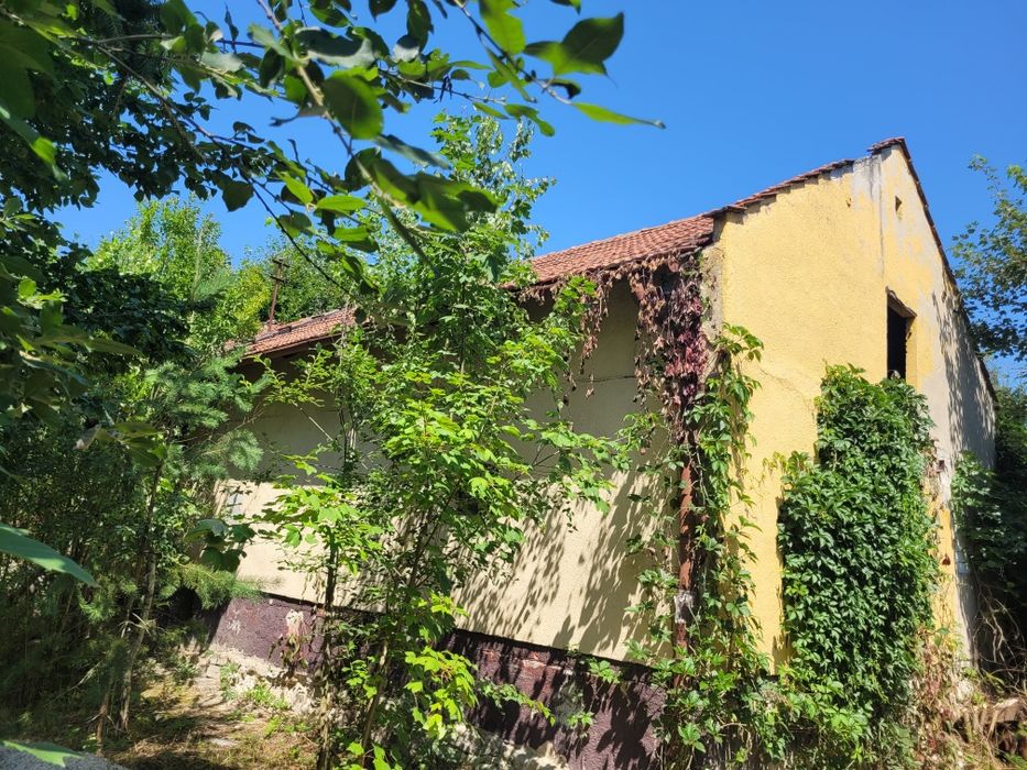 Dom – Lipówka - Widok 2