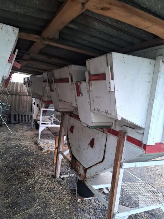 Продам клітки для кролів