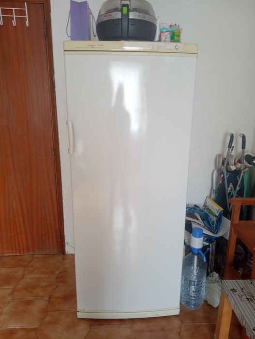 Arca vertical congeladora