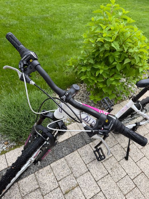 Rower młodzieżowy ALPINA eco lm10 biały z różowymi akcentami, 26-calowe koła