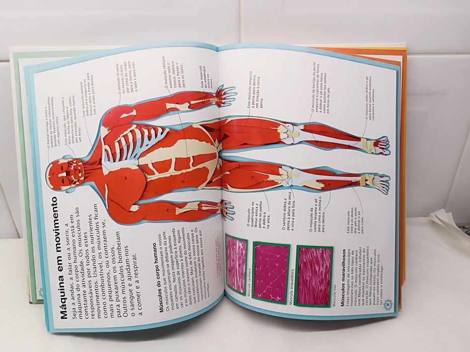 A Máquina do Corpo Humano. Livro educativo.