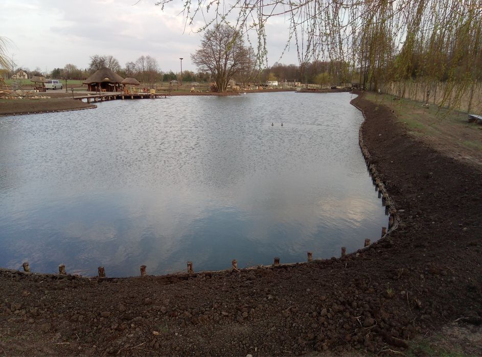 Faszynowanie stawów, umacnianie brzegu