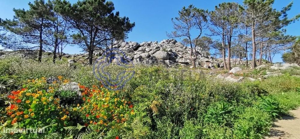 Terreno em Carreço-Montedor, 2 minutos da praia