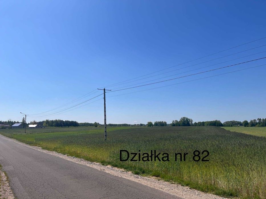 Zdjęcie 3