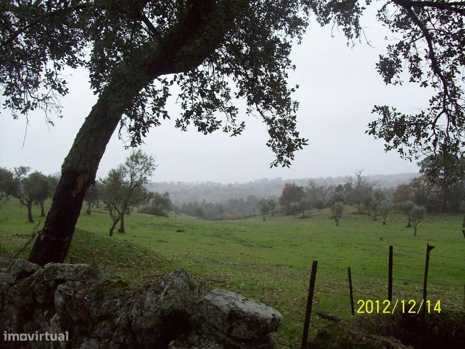 Herdade do Monte da Pedra.