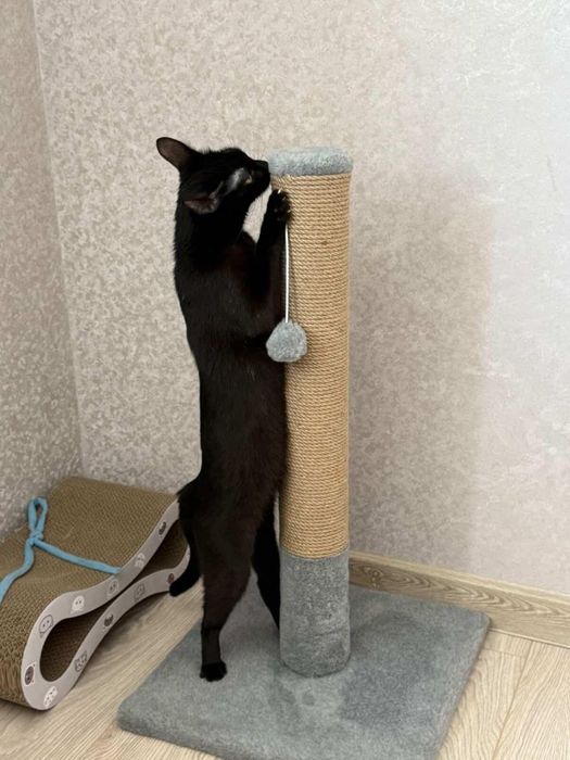 Кігтєточка для  котів. Дряпка, царапка для активних котиків