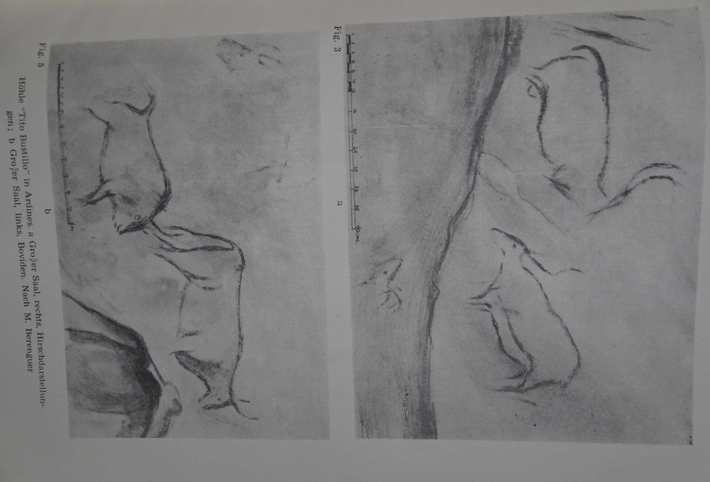 Las Pinturas Prehistoricas de La Cueva Tito Bustillo (Ribadesella)