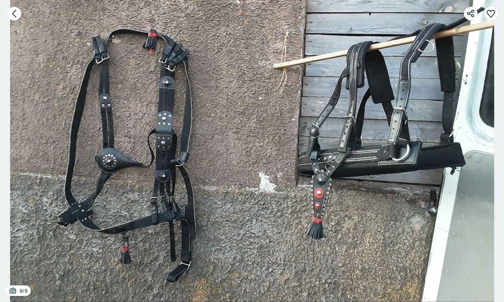 Упряж для коней хама для поні