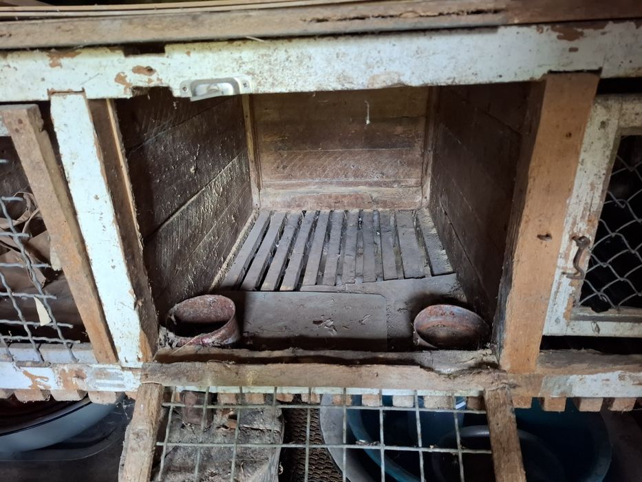 Клітки для кролів